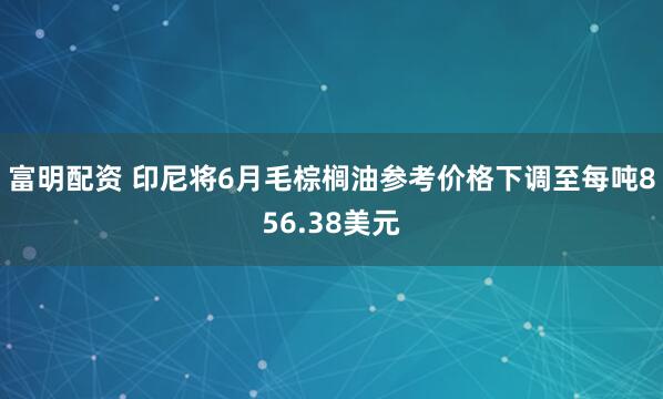 富明配资 印尼将6月毛棕榈油参考价格下调至每吨856.38美元