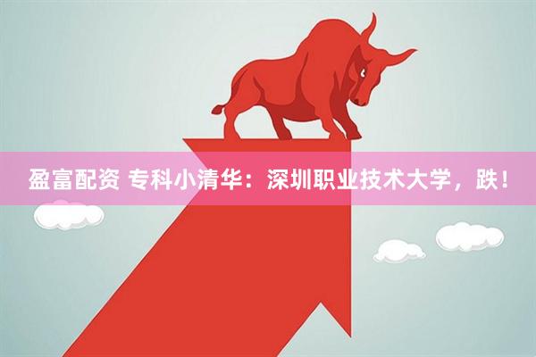 盈富配资 专科小清华：深圳职业技术大学，跌！