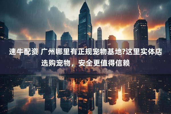 速牛配资 广州哪里有正规宠物基地?这里实体店选购宠物,安全更值得信赖